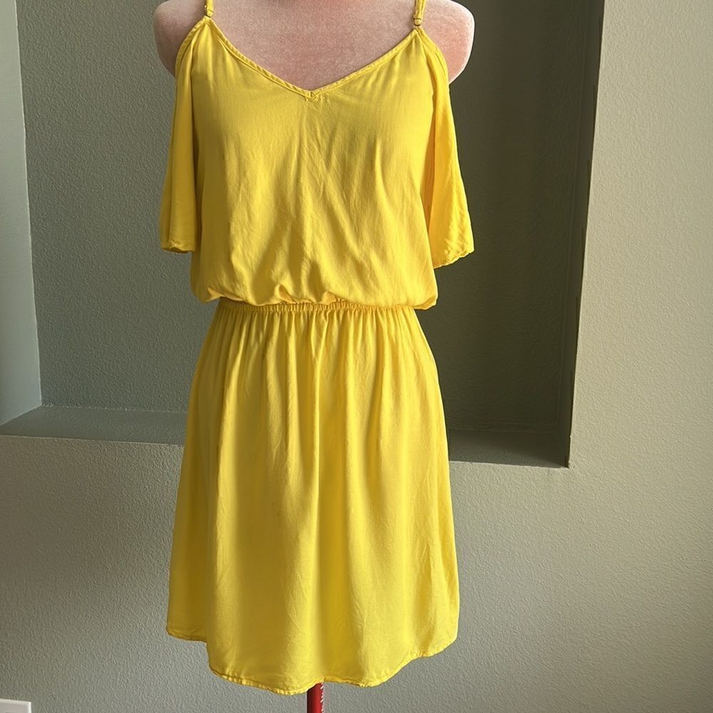 Splendid Dress - Picture 4 of 6